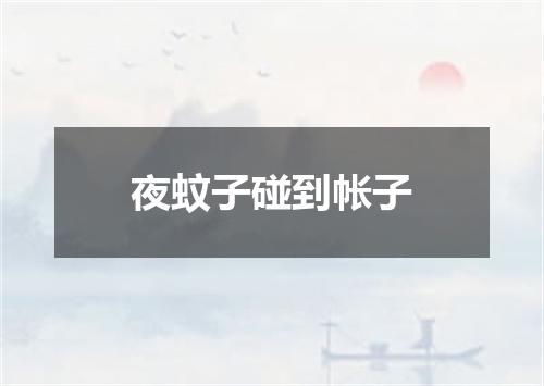夜蚊子碰到帐子
