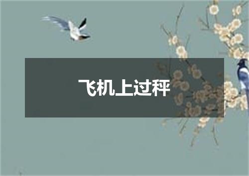 飞机上过秤