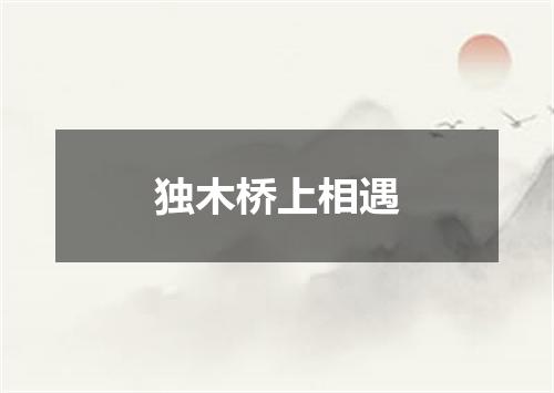 独木桥上相遇