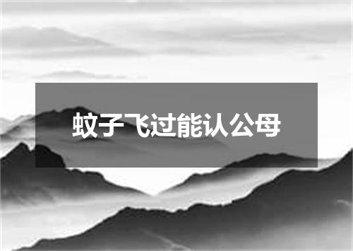 蚊子飞过能认公母