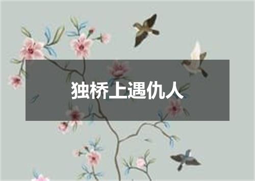 独桥上遇仇人