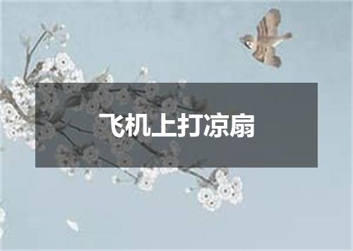 飞机上打凉扇
