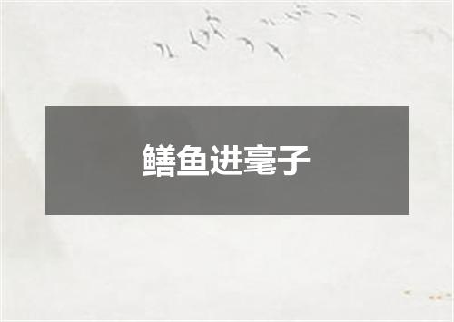 鳝鱼进毫子