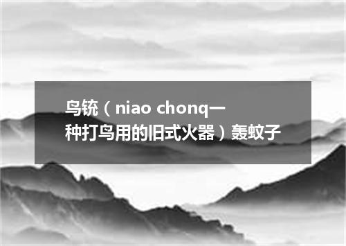 鸟铳（niao chonq一种打鸟用的旧式火器）轰蚊子