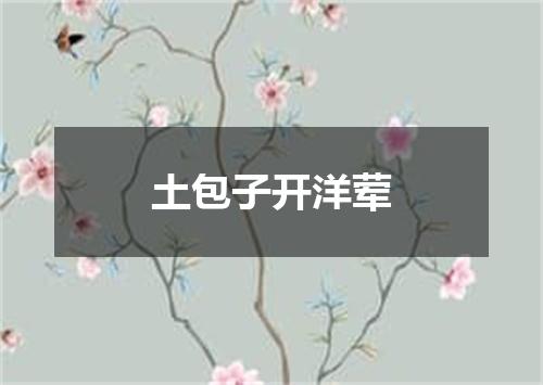 土包子开洋荤