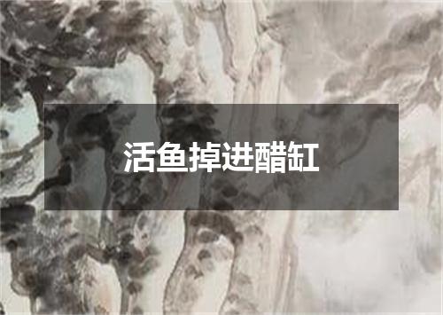 活鱼掉进醋缸