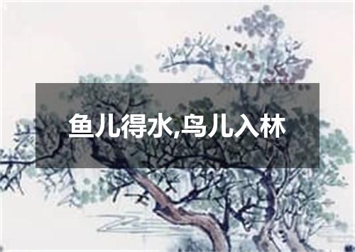 鱼儿得水,鸟儿入林