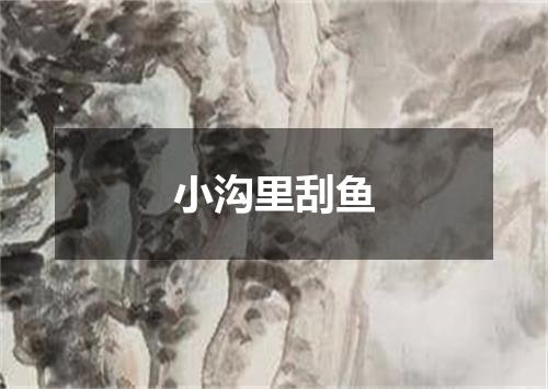 小沟里刮鱼
