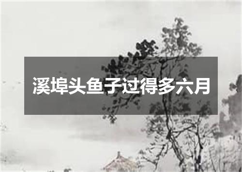 溪埠头鱼子过得多六月