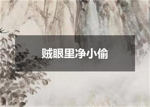 贼眼里净小偷