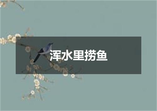 浑水里捞鱼