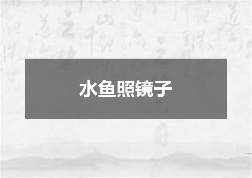 水鱼照镜子