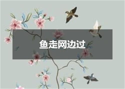 鱼走网边过