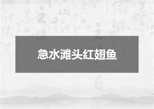 急水滩头红翅鱼