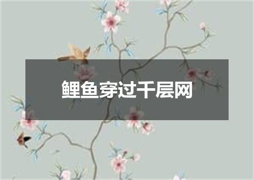 鲤鱼穿过千层网