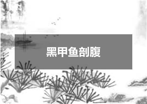 黑甲鱼剖腹
