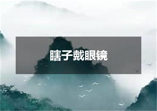 瞎子戴眼镜