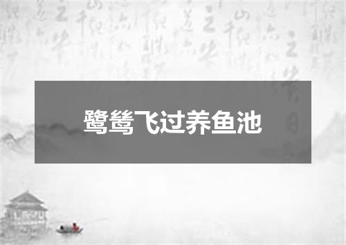 鹭鸶飞过养鱼池