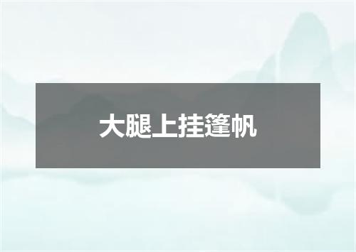 大腿上挂篷帆