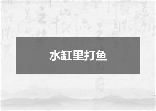 水缸里打鱼