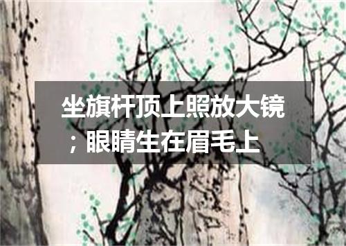 坐旗杆顶上照放大镜；眼睛生在眉毛上