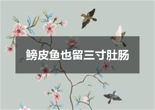 鳑皮鱼也留三寸肚肠