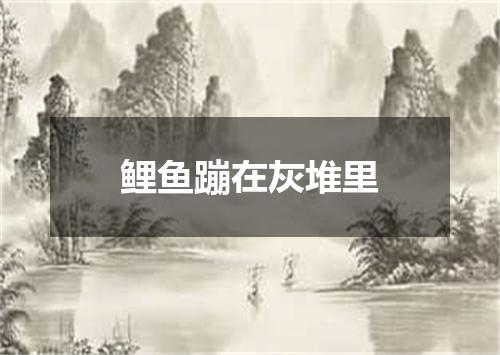 鲤鱼蹦在灰堆里