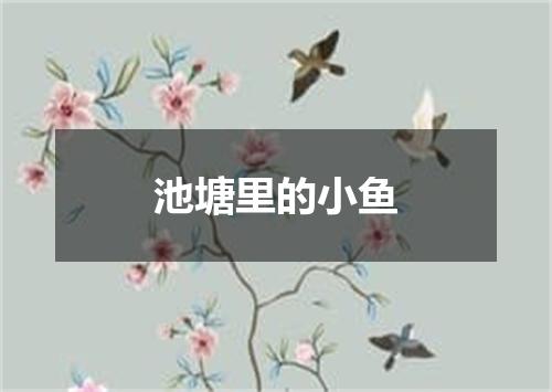 池塘里的小鱼