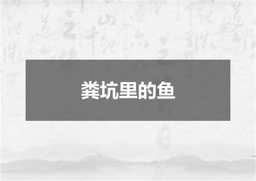 粪坑里的鱼