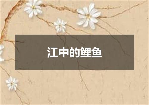 江中的鲤鱼