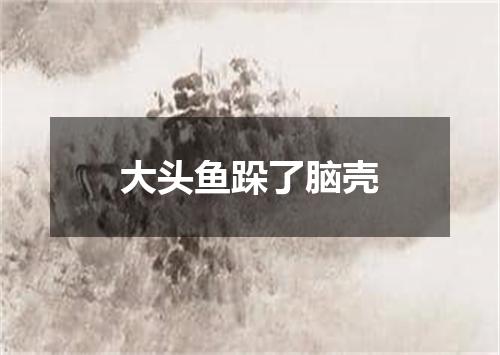 大头鱼跺了脑壳