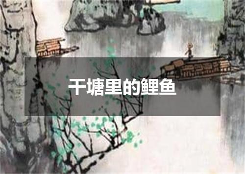 干塘里的鲤鱼