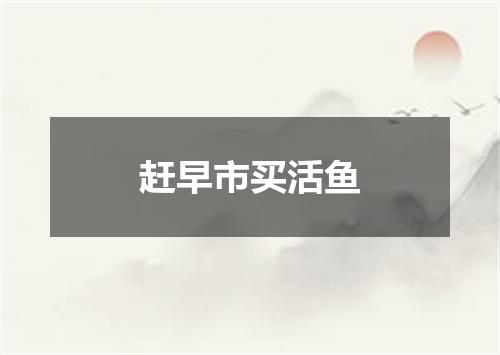 赶早市买活鱼