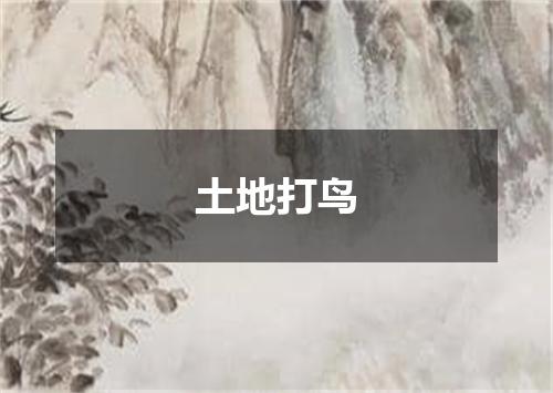 土地打鸟
