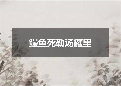 鳗鱼死勒汤罐里