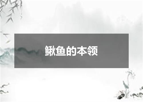鳅鱼的本领