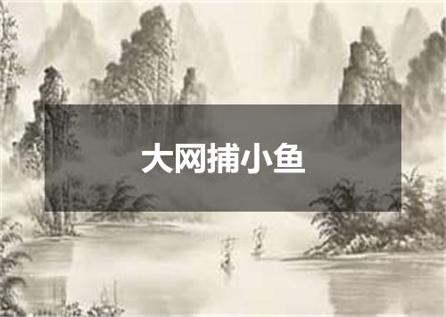 大网捕小鱼