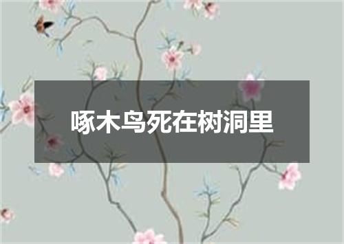 啄木鸟死在树洞里