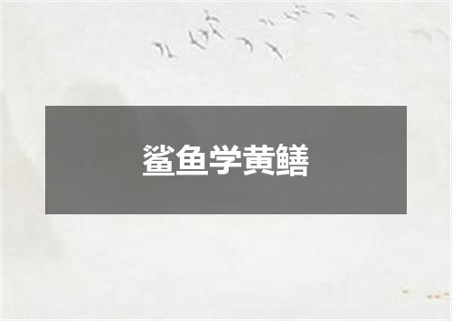 鲨鱼学黄鳝