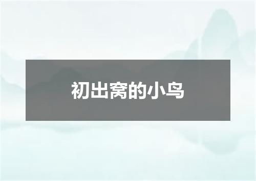 初出窝的小鸟