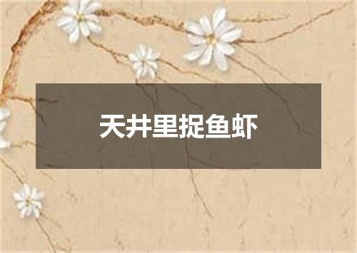 天井里捉鱼虾