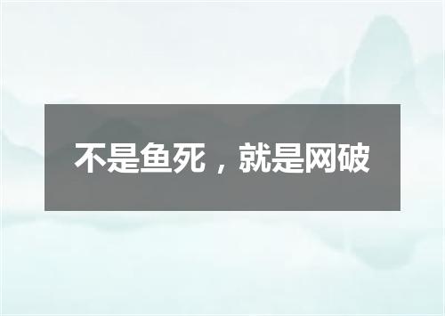 不是鱼死，就是网破