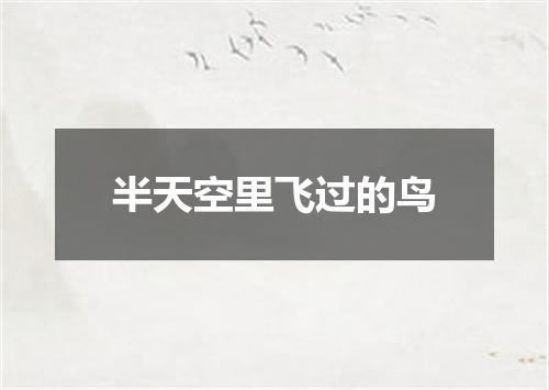 半天空里飞过的鸟