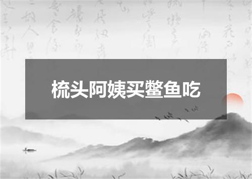 梳头阿姨买鳖鱼吃