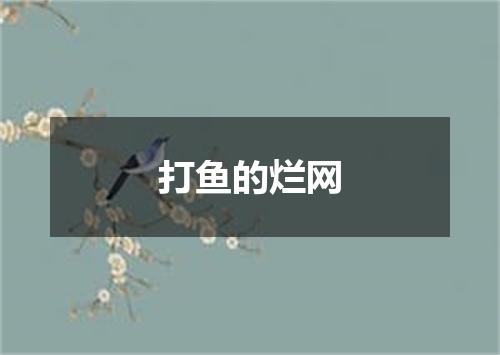 打鱼的烂网