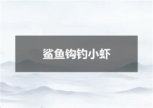 鲨鱼钩钓小虾