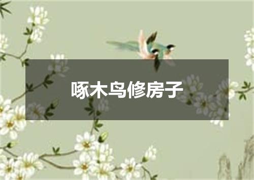啄木鸟修房子