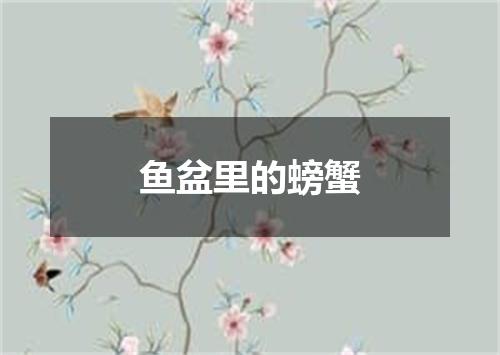 鱼盆里的螃蟹