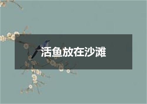 活鱼放在沙滩