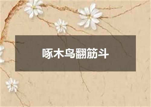 啄木鸟翻筋斗